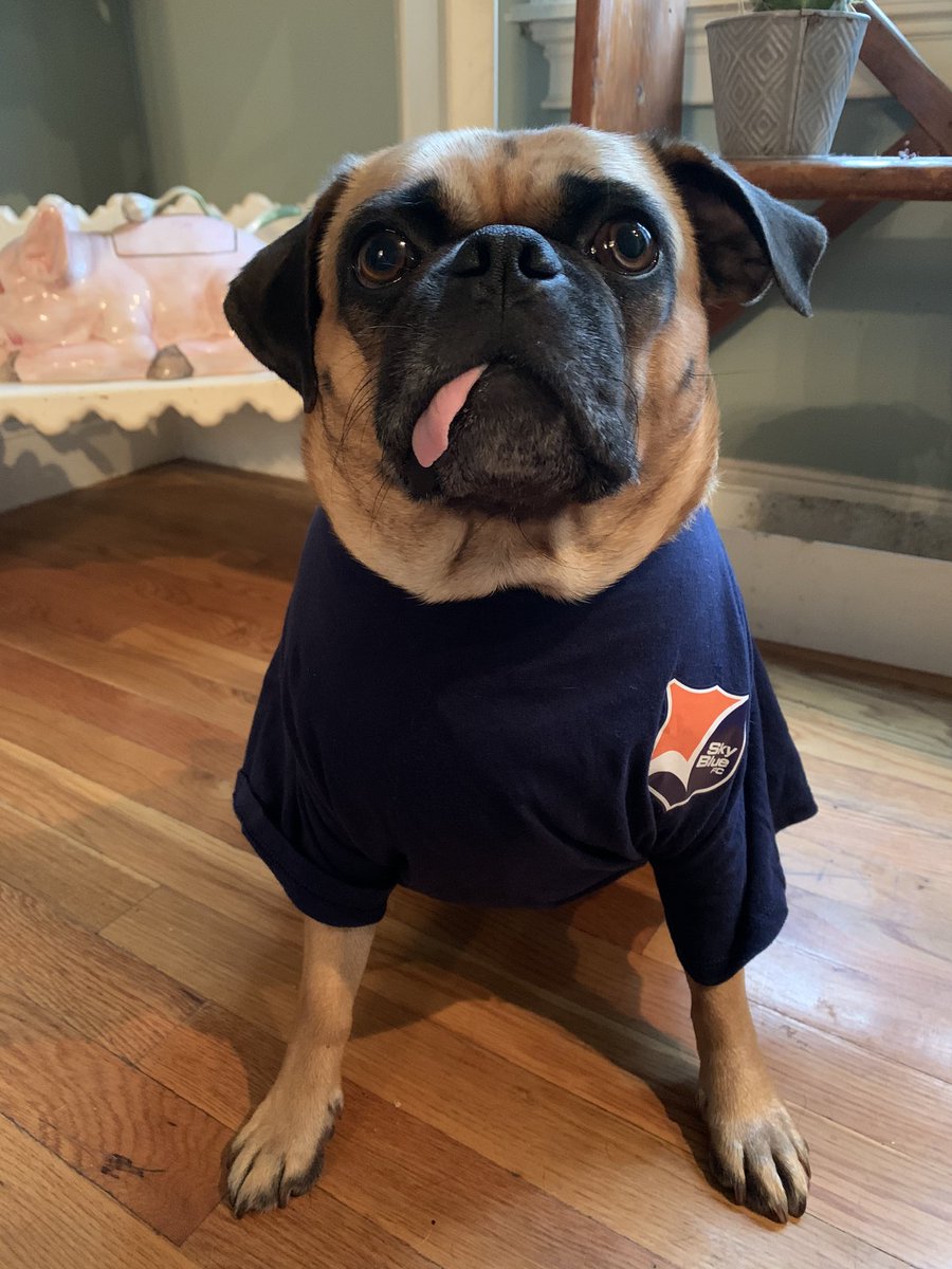 Zoey is ready for the #StayHomeOpener in her SBFC gear! <a href="/SkyBlueFC/">NJ/NY Gotham FC</a>