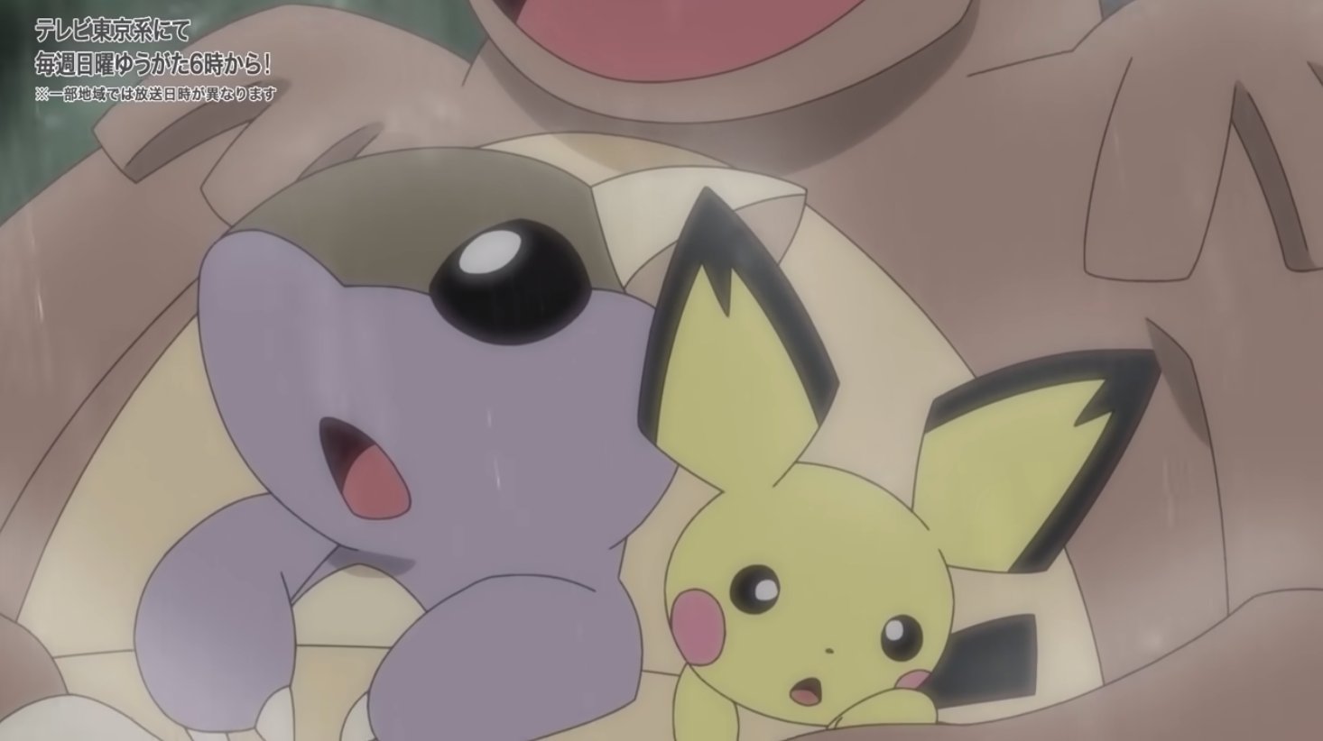 えぬほおむ とあるピチューの自立物語