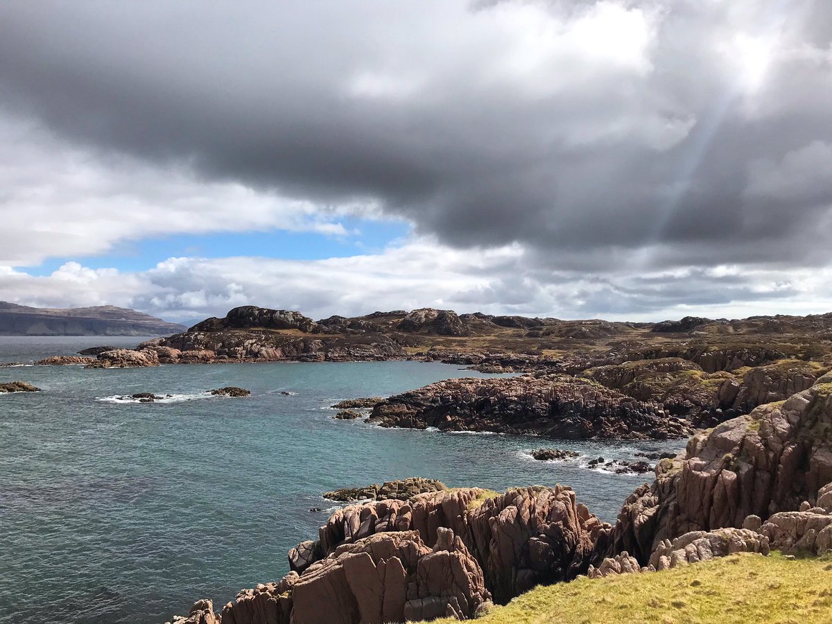 Rowan MacCallum tweet media