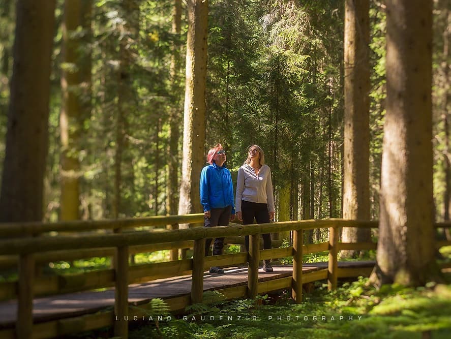 dolomiti@valcomelico.it tweet media