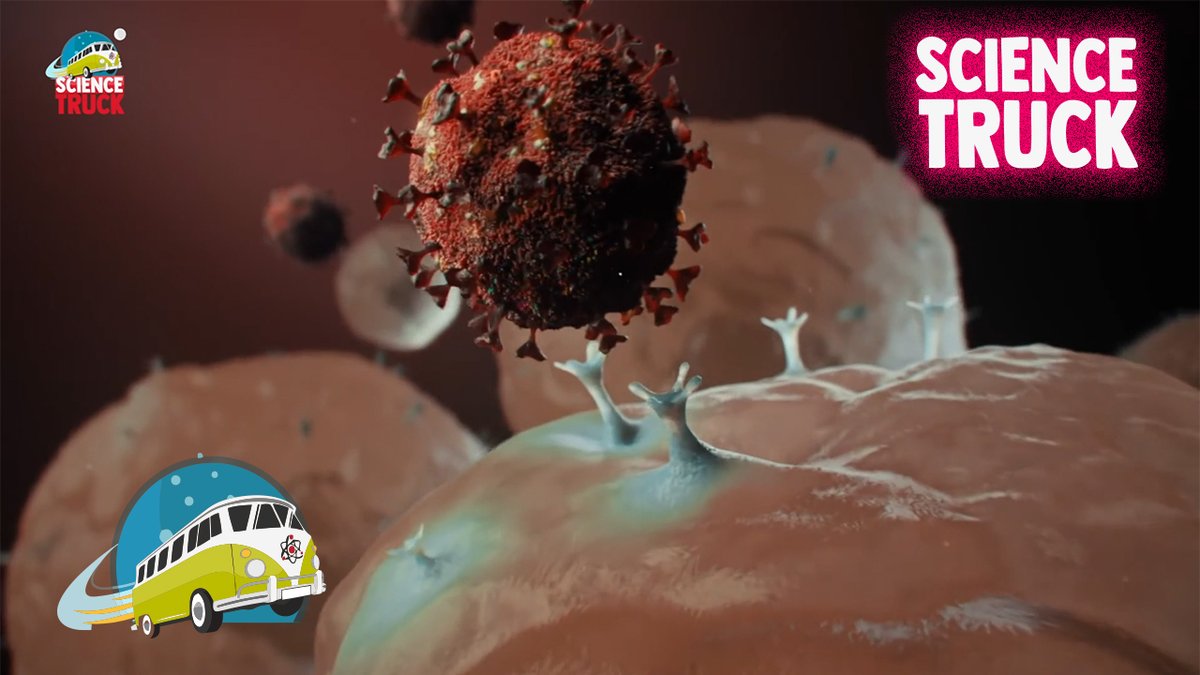 CienciaGob's tweet photo. No te pierdas el último capítulo de #ScienceTruck, el programa de divulgación científica de @FECYT_Ciencia.

Este capítulo explica en un lenguaje claro y sencillo el conocimiento científico actual sobre #COVID19.

▶️ https://t.co/JcnhMcJItL https://t.co/5Ny5GN3fw3