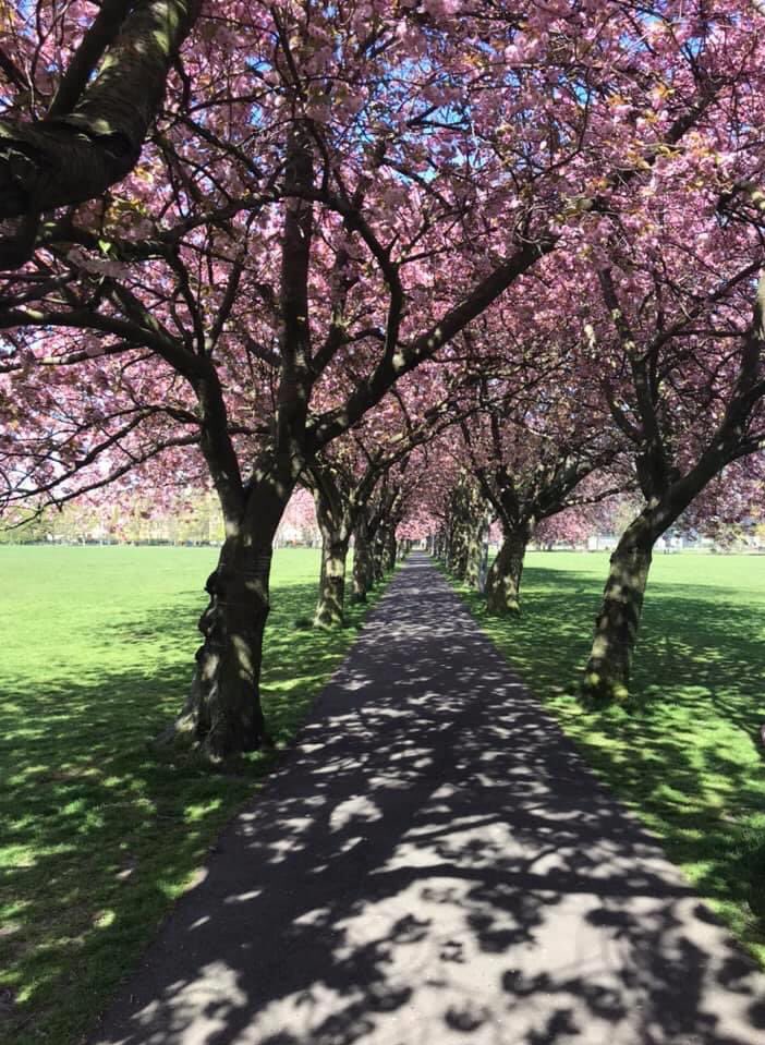 Spring has most definitely arrived and we will have some exciting news to share with you later this week.... watch this space! #teaser   (Photo credit: Simon Burns ) #SpringTime #Foodies @edinburgh @EdinReporter @foodanddrinksco @Foodinburgh @EdinburghFoody