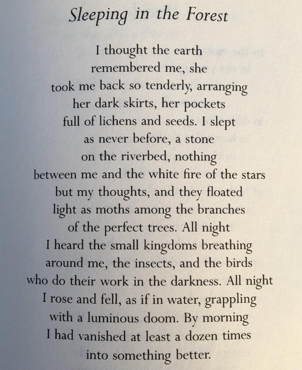 #nationalpoetrymonth
poem for April 26th
"Sleeping in the Forest" by Mary Oliver