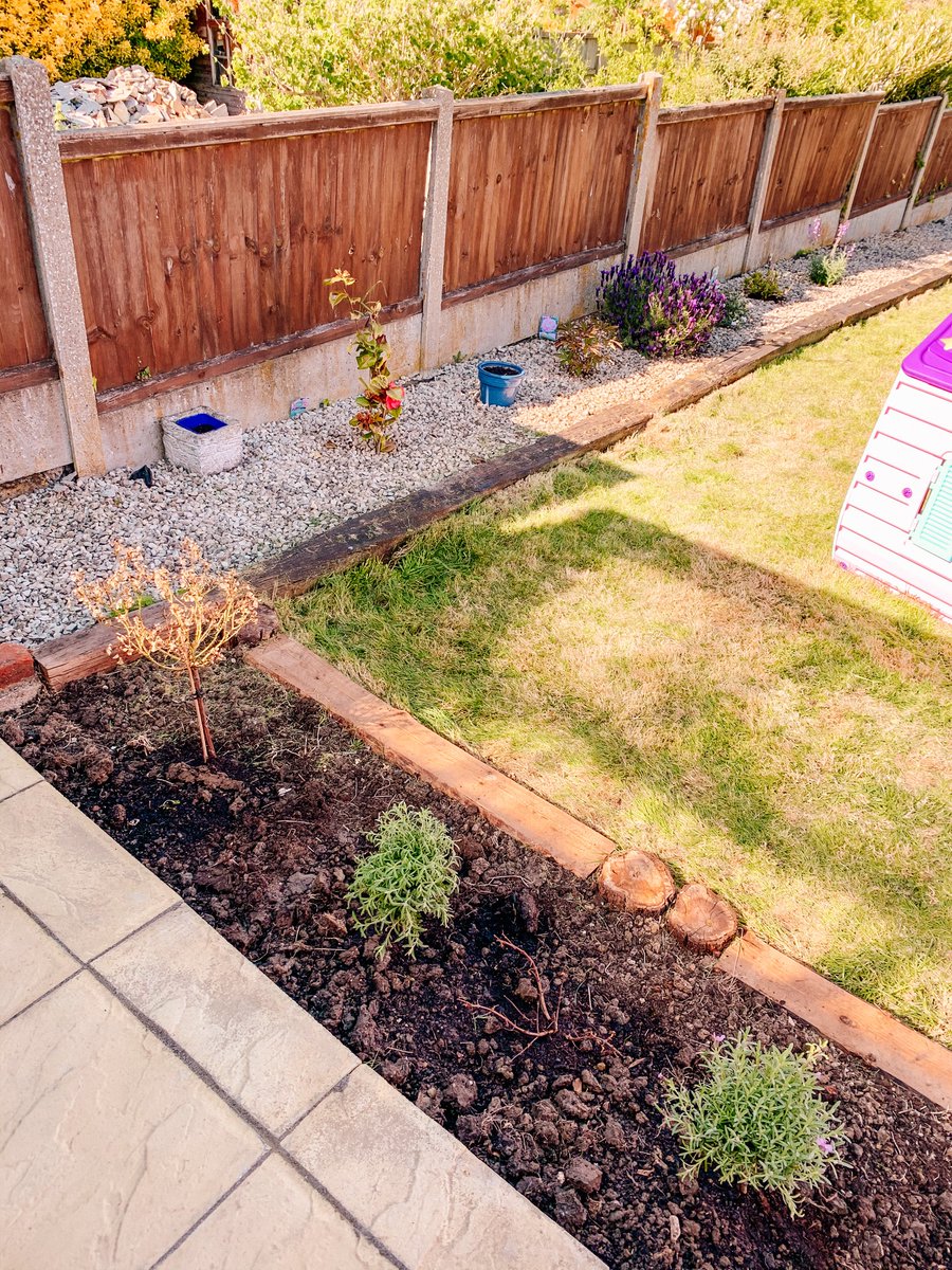 RozChamps's tweet photo. @BBCR1 been doing lots of gardening today listening to Radio1. Planted some roses, lavender, a peony and some wild flower seeds https://t.co/VjZmeseETO