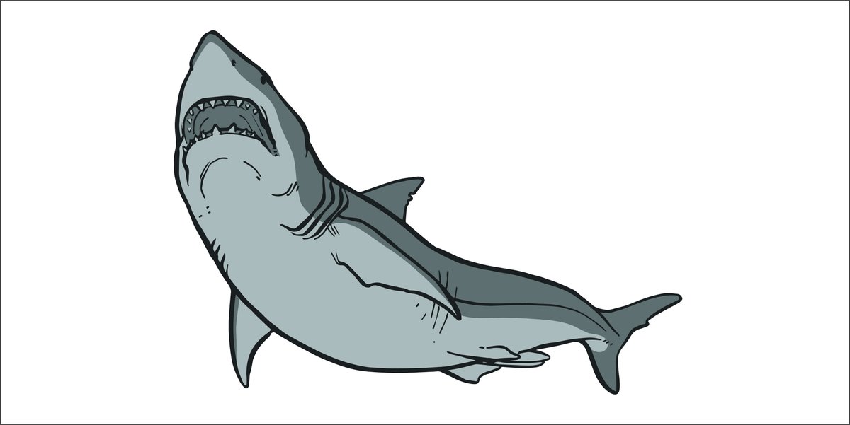 RoyalTyrrell's tweet image. Did you know that sharks have been around for more than 400 million years? They existed before land animals and plants spread across the continents. Today we’re launching a new #RTMPArtChallenge. Please tweet your shark drawings at us! #MuseumFromHome
