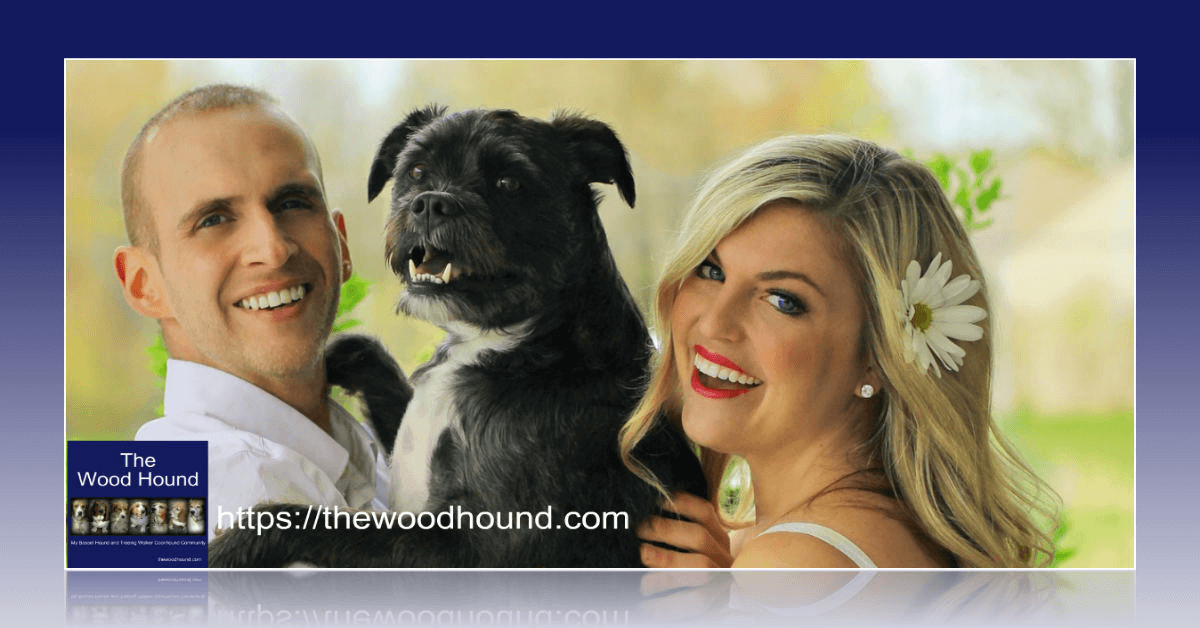 DenaBriley's tweet photo. APRIL 26TH NATIONAL PET PARENT’S DAY – A DAY FOR YOU AND YOUR PET Find out more about this #dogholiday and even more #holidayfordogs in April => 👩‍👩‍👦‍👦 🐶 https://t.co/LJGNaPktzO https://t.co/Gan3DCEJrG