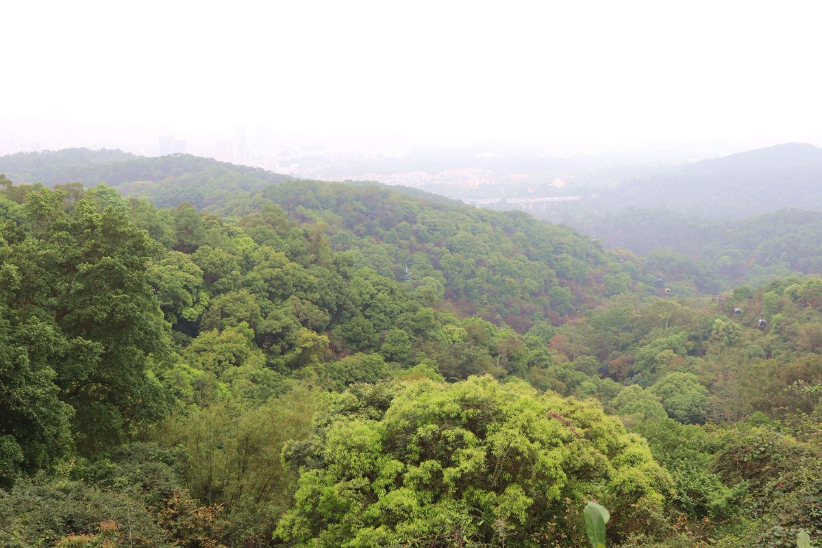Guangzhou_City's tweet photo. The weather is pretty nice recently, warm and not that hot yet. So it’s a perfect time to go outside somewhere. If you are in Guangzhou now, how about Baiyun Mountain? Tag some friends you would like to go with. #BaiyunMountain #ExloreGuangzhou #SpringOutings https://t.co/a8uQxLQSSi