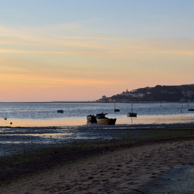 GoCaldas tweet media