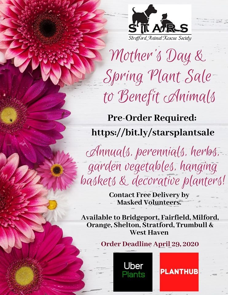 Only 3 days left to order!! All proceeds benefit the animals. Order here:  bit.ly/starsplantsale
THANK YOU!
#STARS #AdoptDontShop #PlantSale #Fundraiser #rescue