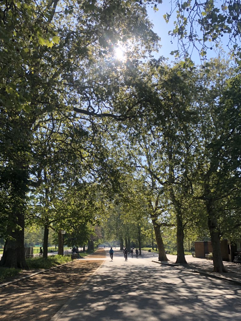 emlywright's tweet image. a quick cycle around central London this morning - the wisteria outside St Paul’s was a real highlight 🚴🏼‍♀️🌸🐝🙌🏼☀️