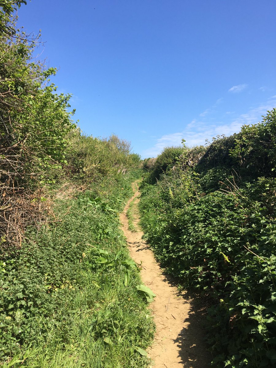 Went for a walk today. This public footpath connects where we live with a nearby village. Check out the thread for some magical discoveries.