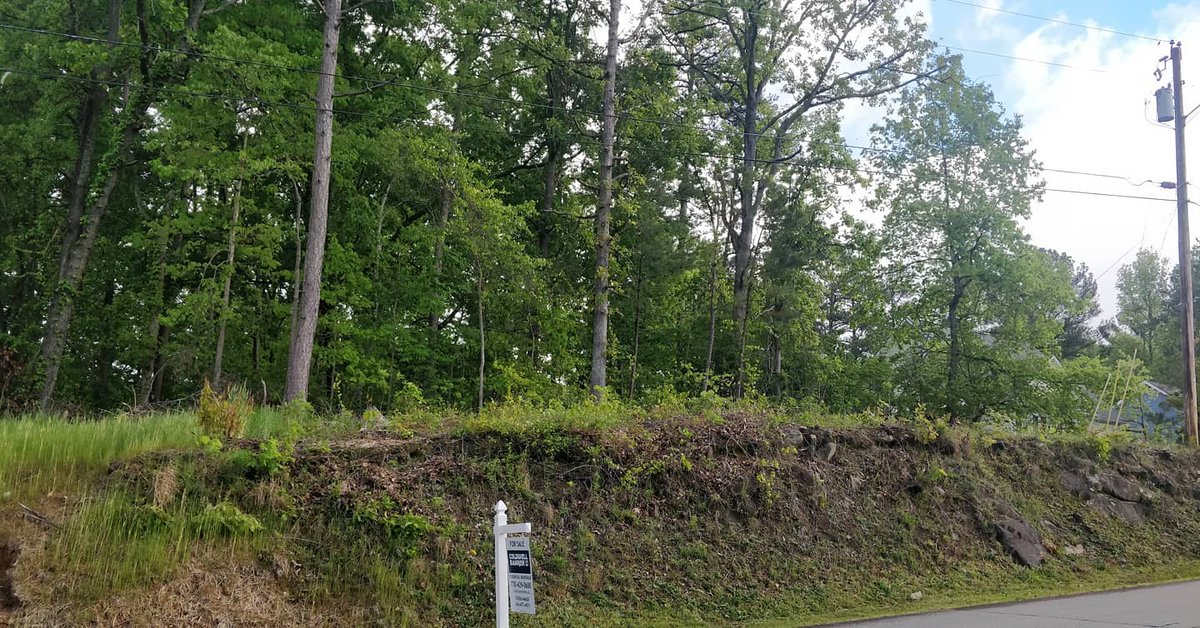 FinallyHome8's tweet photo. JUST LISTED! FMLS 6713252. Looking for residential land in #kennesaw #georgia to build a dream home 🏡 where the comps are $300,000+? We've got a half acre just listed for sale at $80,000! 3662 Allyn Dr. Kennesaw GA 30152! https://t.co/npgjqlGxHE