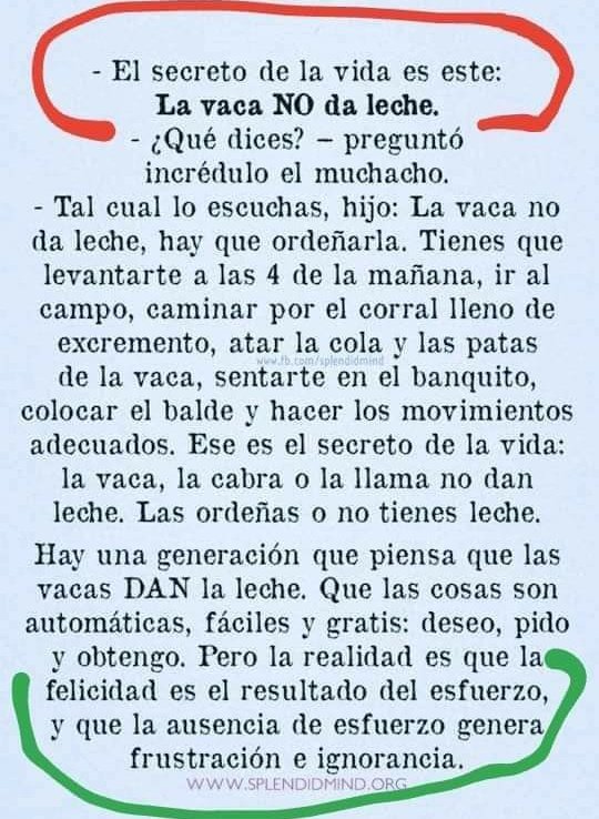 MatiasCalizzano's tweet photo. 👇👇👇👇 https://t.co/Y89AGZc7k7