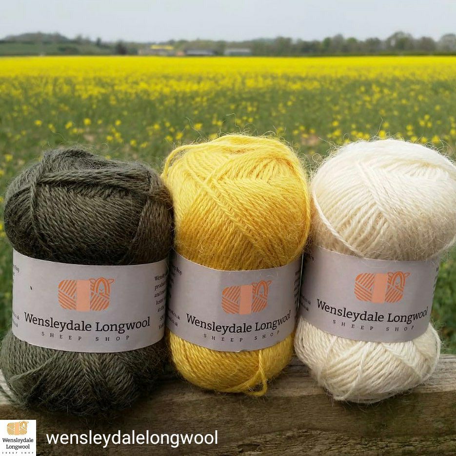 WensleydaleYarn's tweet photo. Every day the fields get a more intense shade of yellow so lovely to see the changing landscape some more of our #wensleydale #4ply blending with the background - in Spruce, Buttertubs & Natural -
@wonderwoolwales #virtualwonderwool #wonderwoolwales - https://t.co/6wOm5T6lGT https://t.co/EhUCDZilUh