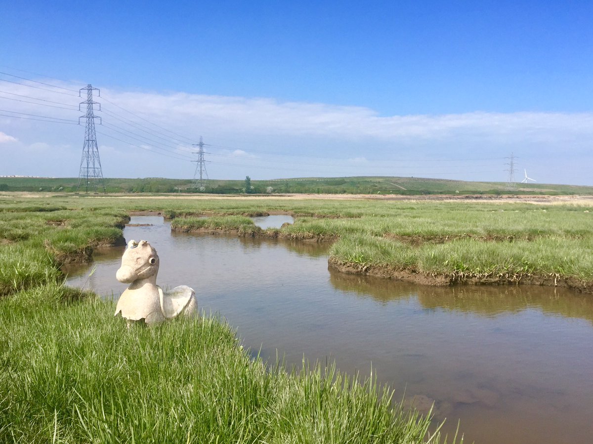 There’s a bleak, edgy beauty to the coast off Cardiff’s Splott and Tremorfa.The city merges with nature as centuries of industrial & domestic detritus blend and clash with wild moorland and mud flats.