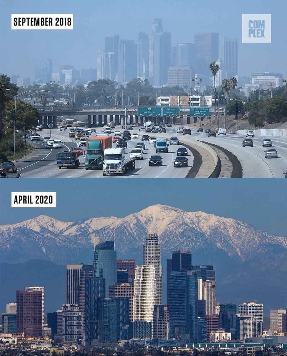 I’ve lived in Los Angeles since 1992. 

I’ve always loved looking at the downtown skyeline. 

The stay at home order has reduced air pollution significantly. 

Mother Nature is now healing herself. 

Wait, we have fucking mountains?