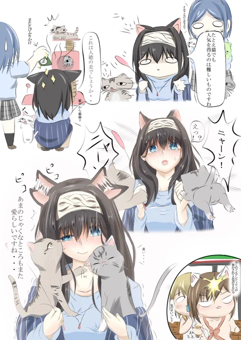 いままでの猫カフェいったお話し再放送と
猫カフェ対策 