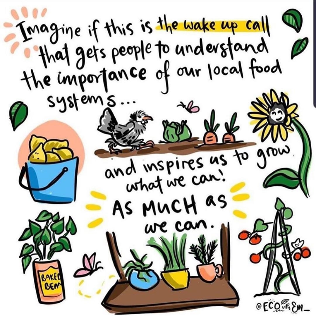 foodisfreeabq's tweet photo. Take this new time: use it as an opportunity to see WHAT is amiss in our food chain + how WE the people can change it.
Shorten your food chain by supporting local growers & growing for yourself.
#foodisfreedom #shortenthefoodchain #sundayvibes #foodisfree #fifabq #Albuquerque https://t.co/SqDKeWZKOc