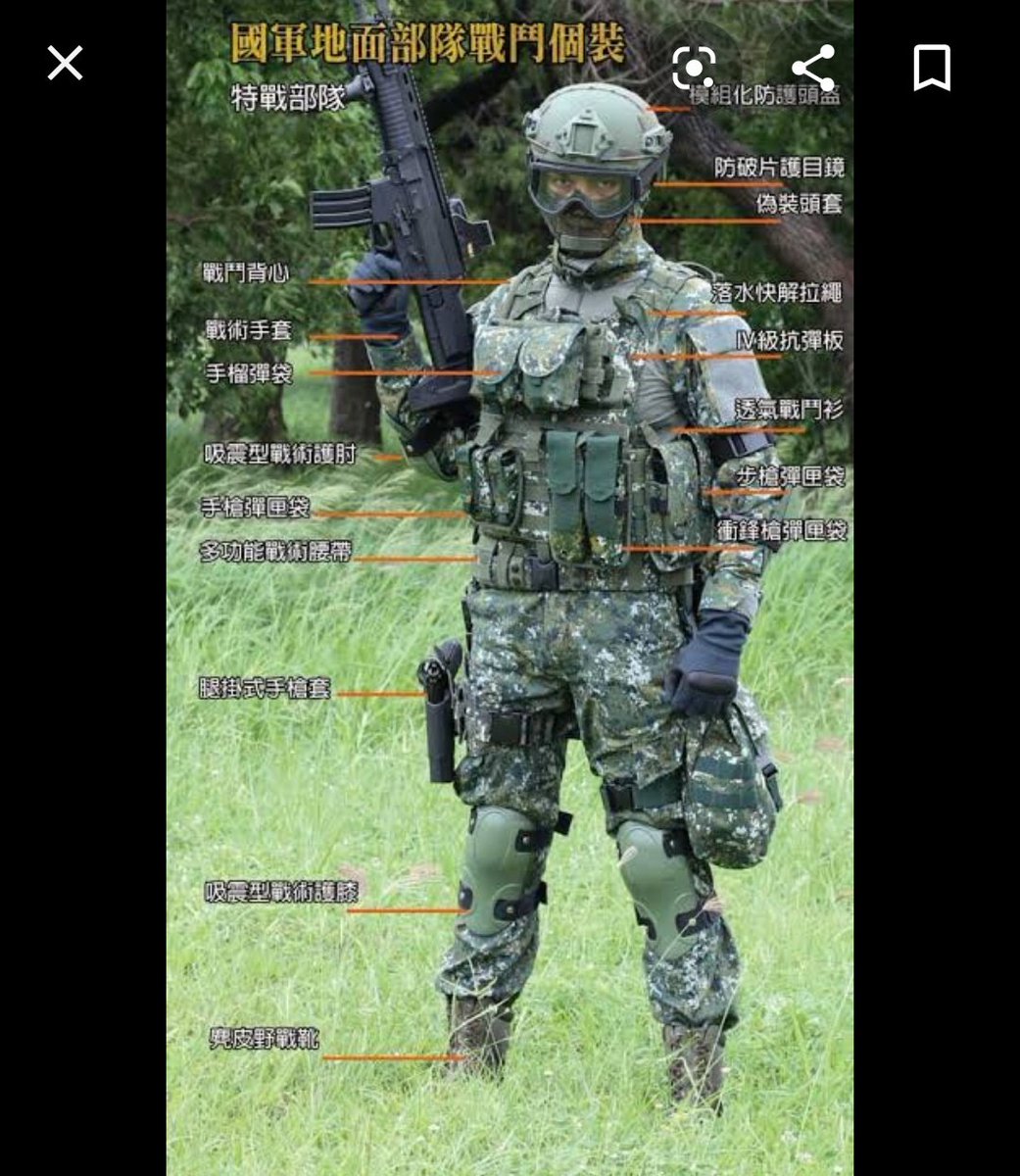 台湾軍の装備 やれ……そう…かな……