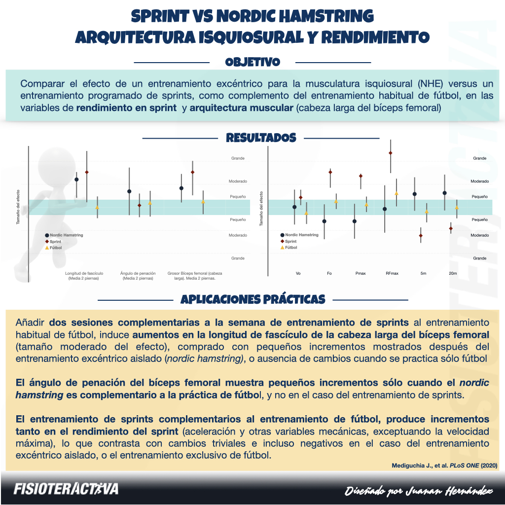 SPRINT VS NORDIC HAMSTRING, complementario al entrenamiento de fútbol

❓¿Influencia en la arquitectura muscular (bíceps femoral) y rendimiento/mecánica sprint?

🏃🏻‍♂️6 semanas, 2 sesiones/semana, pretemporada

✅ SPRINT:

⬆️ Longitud de fascículo
⬆️ Rendimiento y mecánica en sprint