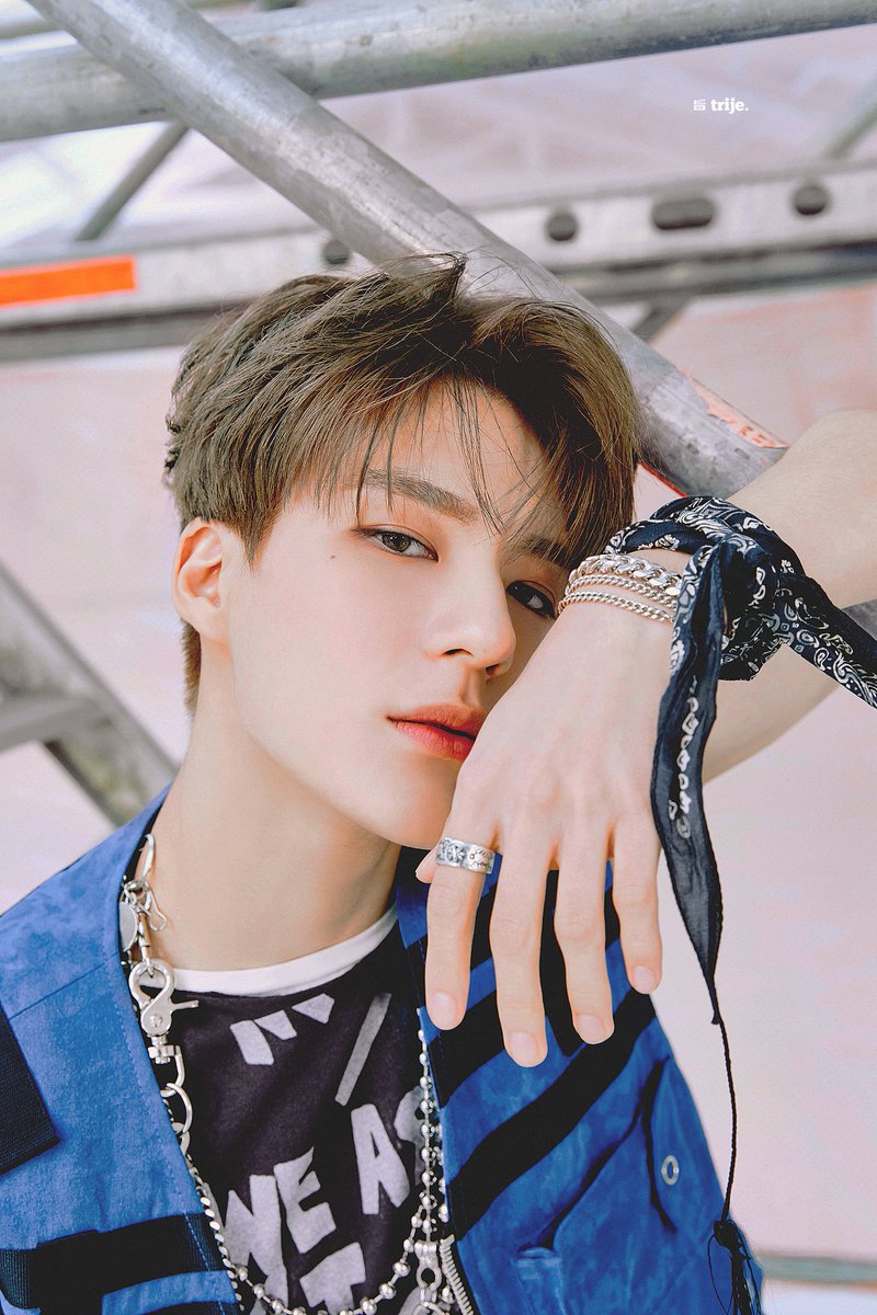 트리제 tweet media