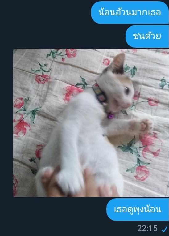 ขิงไอ้ต้าวน่ารักของผม tweet media