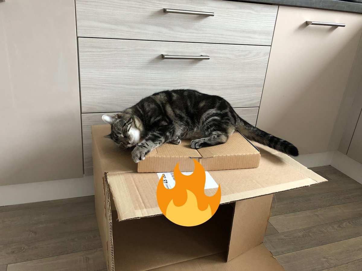 Alana Mercer tweet media