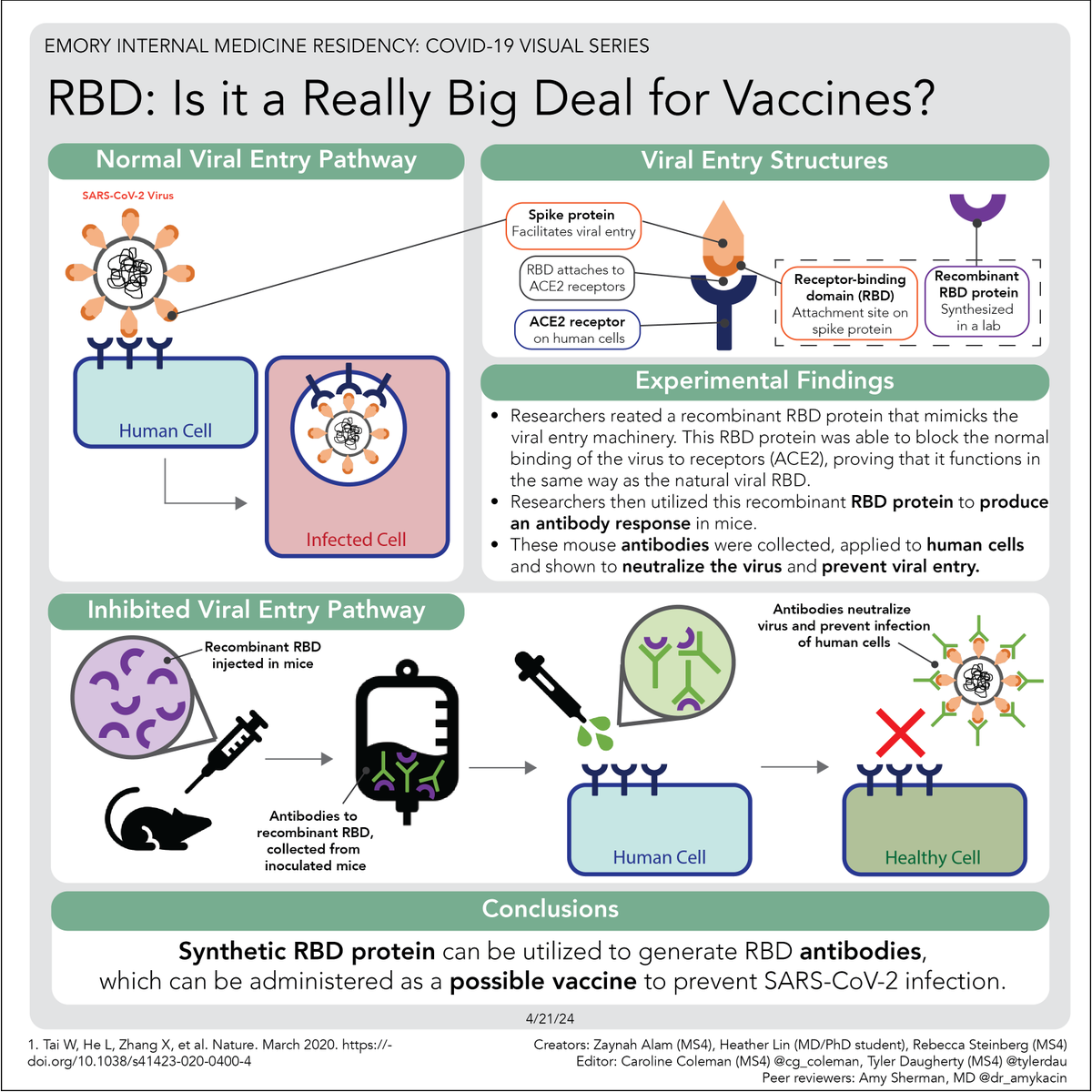 Mice developed Abs against a recombinant protein of the SARS-CoV-2 spike protein - promising for vaccine development

Thx Emory MS4 creators @zaynahalam1, @hklin3, & @rebeccasteinberg; editors @cg_coleman & @tylerdau; & reviewer ID fellow @Dr_AmyKacin 

#EducationInTheTimeOfCOVID