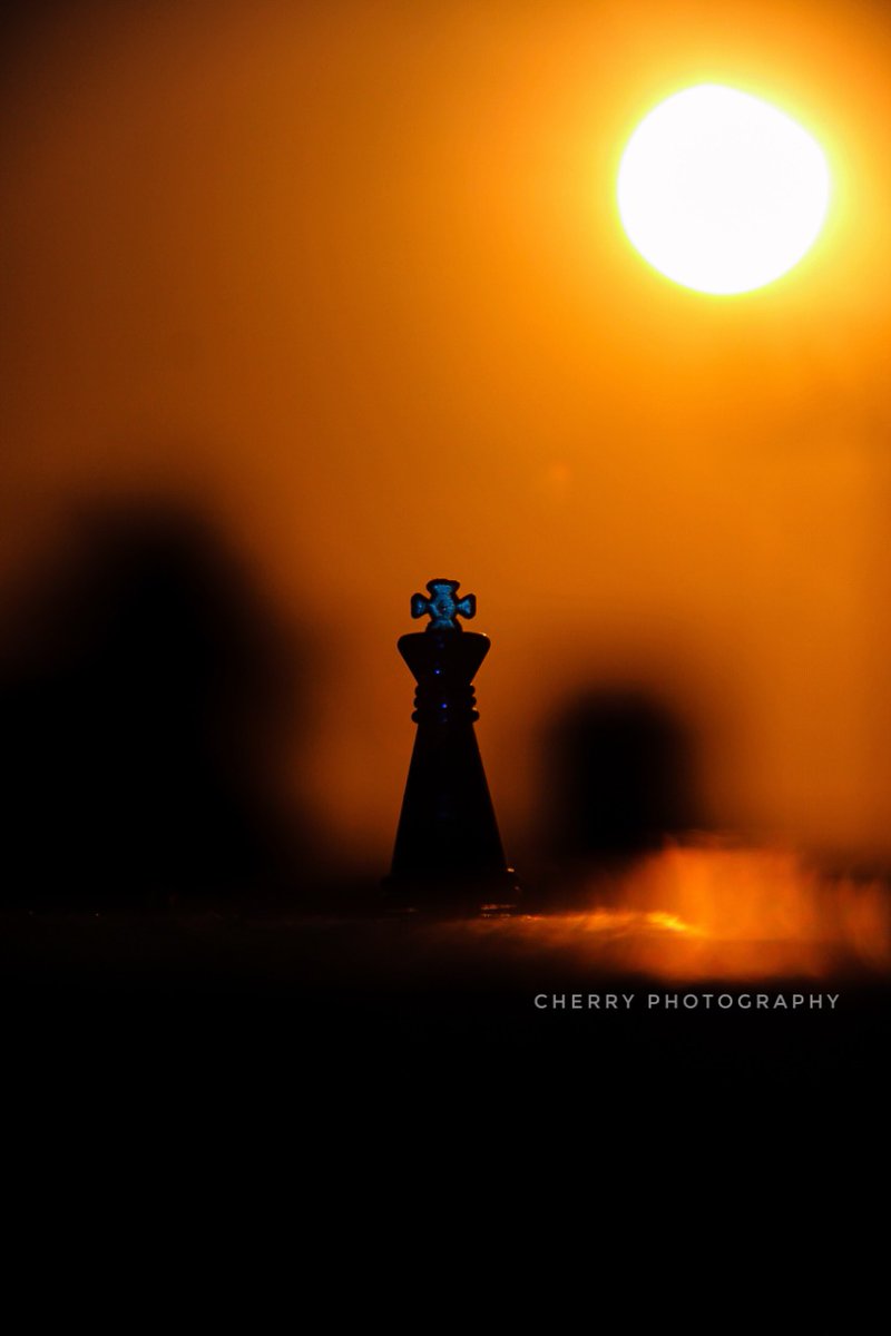 Canon_India's tweet photo. The radiant crown. #CapturedOnCanon by our #CanonEdge member , P. Sai Charan.

Camera: #Canon EOS 600D
Aperture: f/5.6
Shutter Speed: 1/4000 s
ISO: 100
Focal Length: 135mm

#IndoorPhotography #Chess #Sunlight #King #CheckMate #Shadow #CanonIndia #CanonPhotography https://t.co/XkSVKZw6qI
