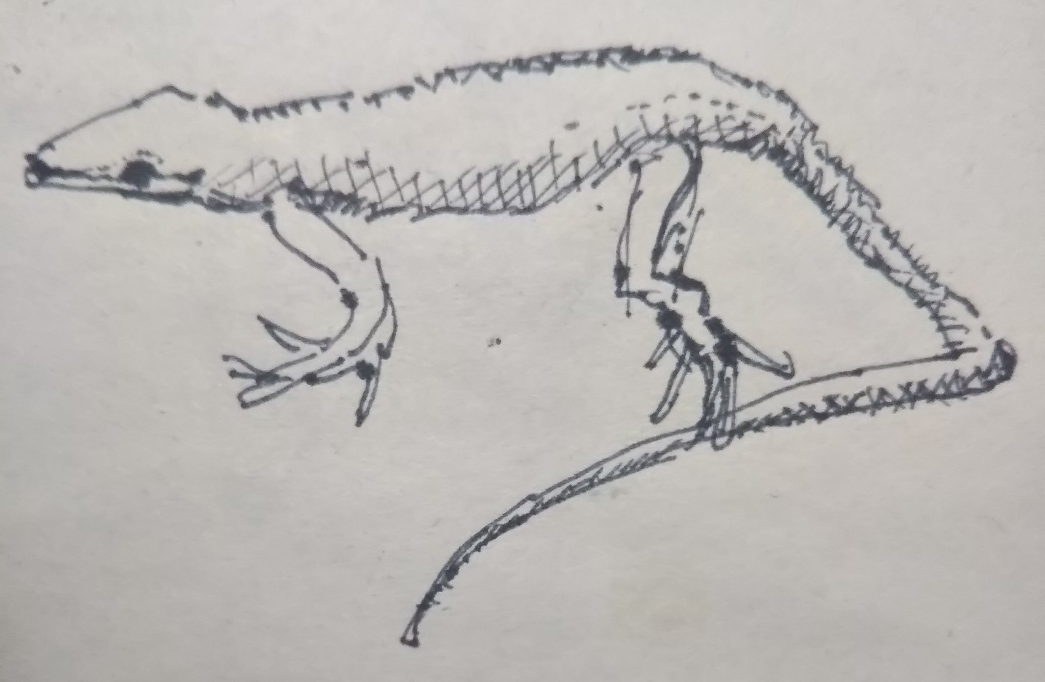 تويتر ぽいずん على تويتر 生物イラスト カナヘビ イラスト好きな人と繋がりたい T Co 3c3fowtl42