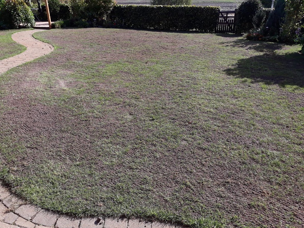 LawnMasterNotts's tweet photo. @TheoPaphitis Hi Theo a lovely friend once told me "You help people fall in love with their gardens all over again" #SBS
No lawn is really beyond repair for us, anything from feed and weeds right up to a full repair, incredibly timespan for these 2 pics is just 4 weeks!
https://t.co/tW9ciqEzmC https://t.co/hw7vNDKMD0
