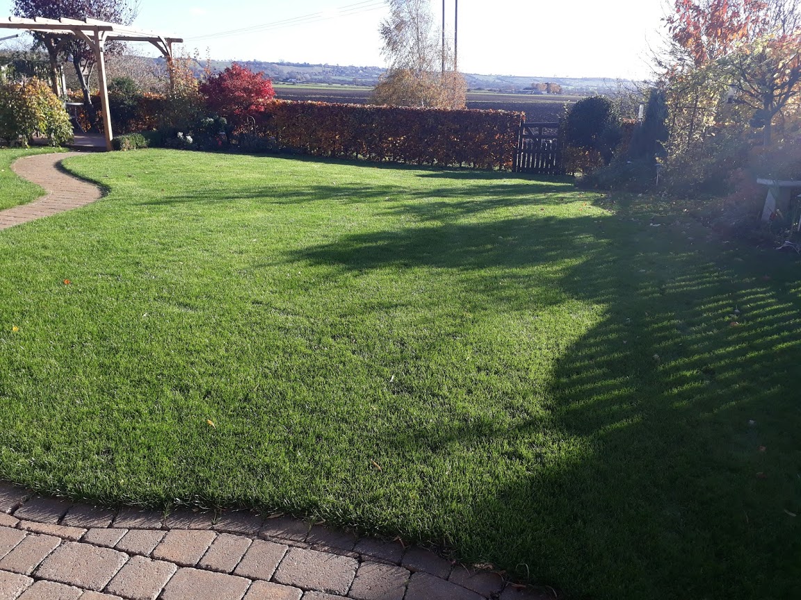 LawnMasterNotts's tweet photo. @TheoPaphitis Hi Theo a lovely friend once told me "You help people fall in love with their gardens all over again" #SBS
No lawn is really beyond repair for us, anything from feed and weeds right up to a full repair, incredibly timespan for these 2 pics is just 4 weeks!
https://t.co/tW9ciqEzmC https://t.co/hw7vNDKMD0