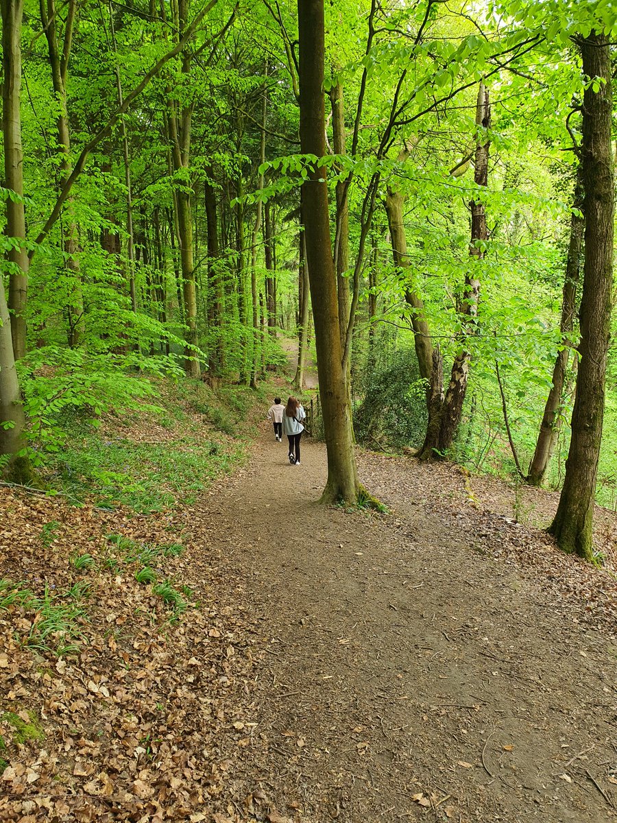 MrCarline's tweet image. Woods were so green today.. #nantmill