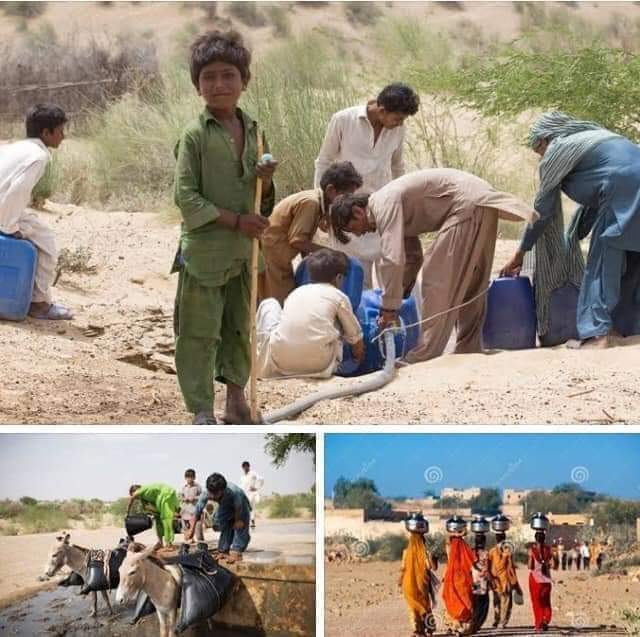 ZahoorSb's tweet photo. Over 70 per cent of underground water in the Thar desert is brackish. So, less than 30 per cent of ground water is fit for human consumption and wells are a major source of water for a majority of people living in some 2500 villages in this desert.
3/5
#TharNeedsWater https://t.co/tPQFkOVzOM