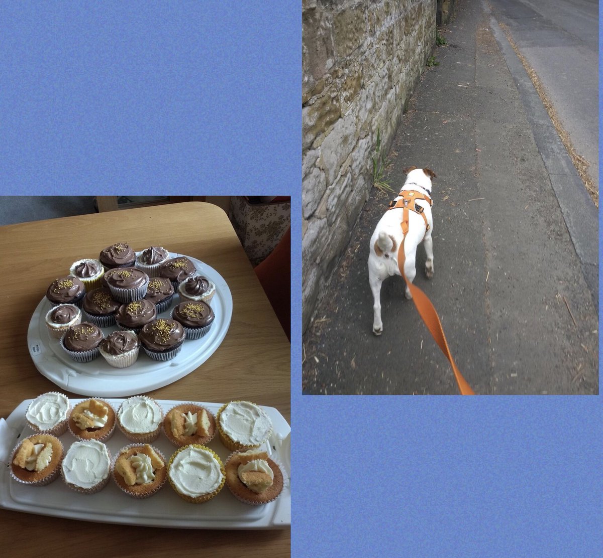 CygnusSupport1's tweet photo. Some of the things #TeamCygnus have completed:
- baking 26 cupcakes
- 2.6mile dog walk
- 26min of #Friends ‘the one with the ball’ game
- a 2 1/2 min plank
Staff,volunteers &amp; trustees embracing #twopointsixchallenge getting active &amp; staying connected even when we’re distant 👏👏 https://t.co/FuCiQaiIlt
