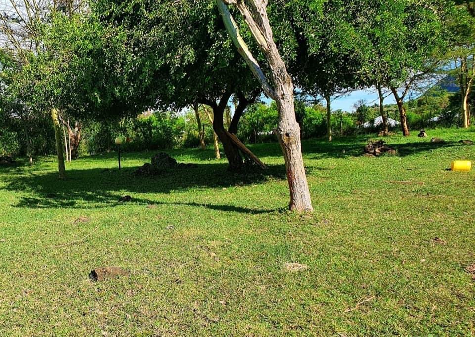 silasjakakimba's tweet photo. Kodondo Residence, The Promised Island, Mfangano@. https://t.co/msjQk6Xxhi