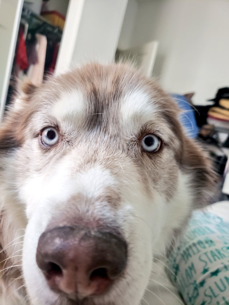 killakatrina's tweet photo. FINEEEEEEEE, I'll get up. https://t.co/hluqNgkryD
