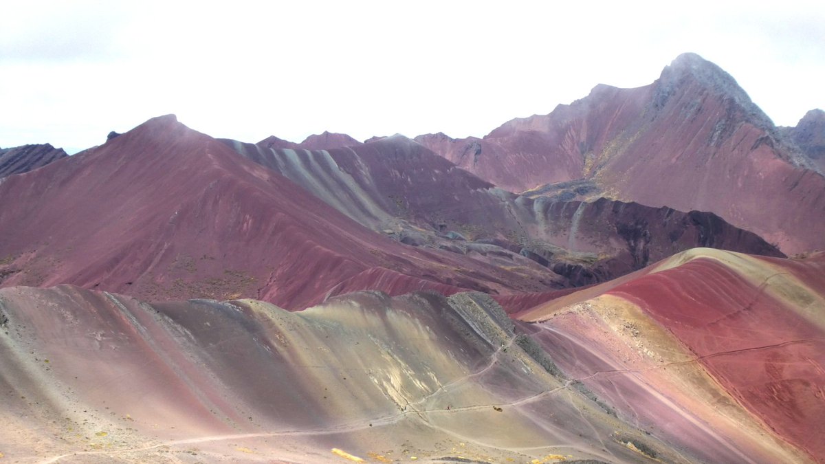 cooper_kerry's tweet photo. #virtualPeru - day 15.
We walk up to the Warmisaya pass at 5000m. The good thing about this is it doesn't really feel hard anymore! A more steady decline the other side takes us to #RainbowMountain, somewhere I've wanted to go for a long time. We go back to the same camp. https://t.co/pwDOze9Z0y