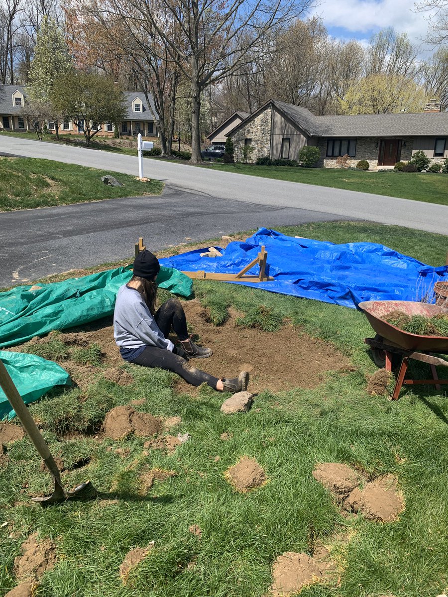 BriannaMumma2's tweet photo. Stella showered for her Zoom call and wants to contribute to the creation of her momโs garden #LVCSoc https://t.co/28ZEv86yv5