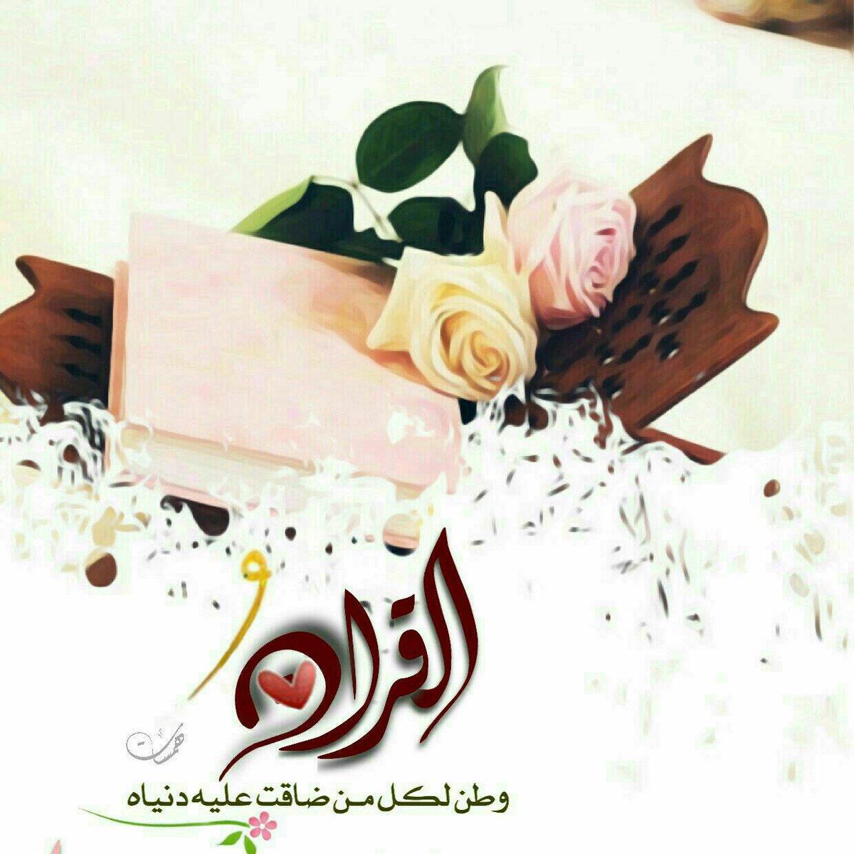 يحيى باصحيح (أبو عبدالرحمن) (@albasehy3) on Twitter photo 