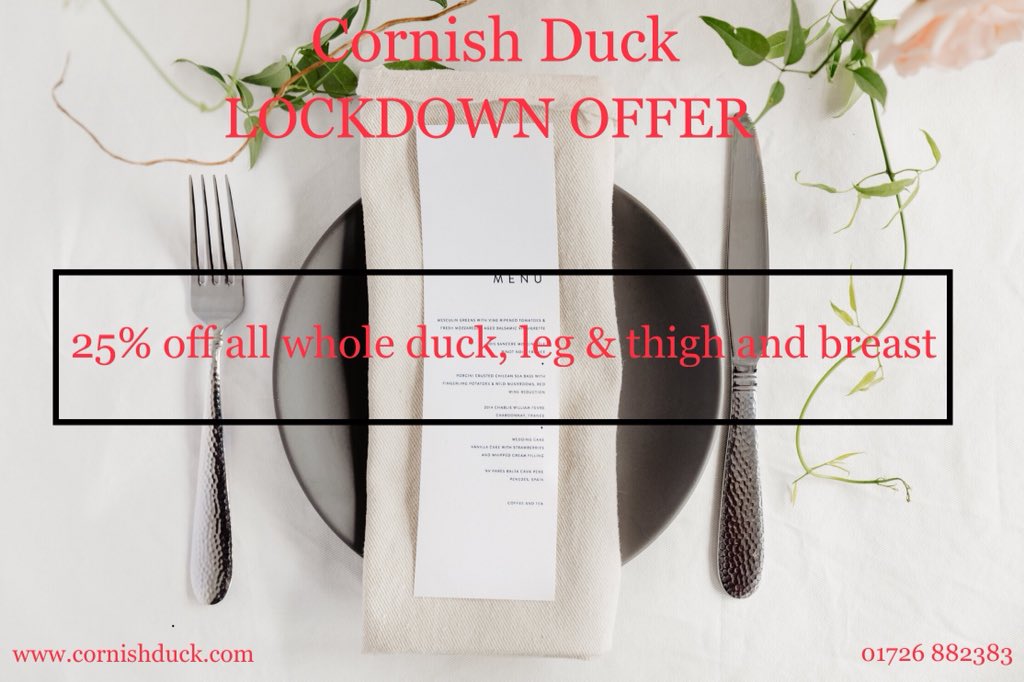 Cornish Duck tweet media