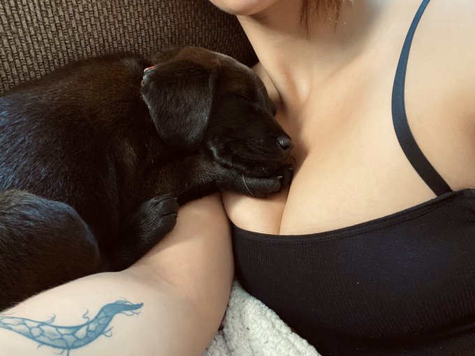My sweet baby Sassa Rey 🖤  She&rsquo;s the bestest for the restest and lovessss to sneak up and lick genitalia<a href="/tag/tittytuesdayyyyy"class="tags"><span>#tittytuesdayyyyy</span></a>