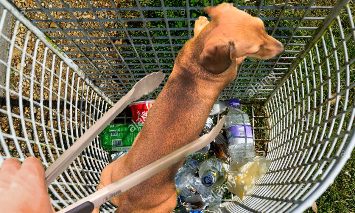 DrapauB's tweet photo. Remember to throw you your sausages away when they are bad #healthtips #sausagedog #godforsaken #funnydoglols https://t.co/gbdFlCSZ2T