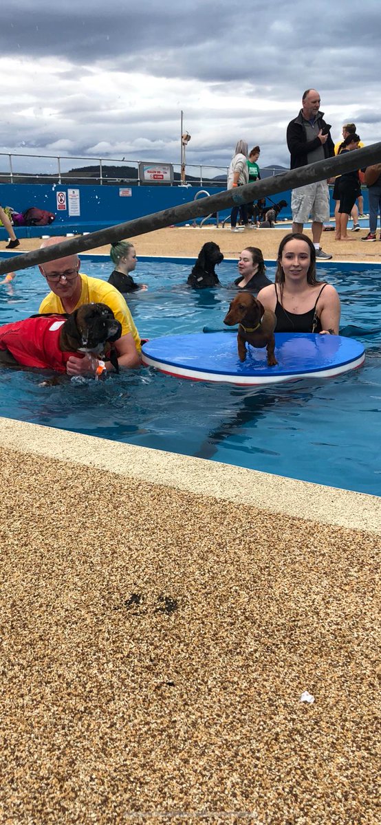 cammieweir's tweet photo. @GourockPool The doggy swimming day was amazing hopefully get the chance again this year if u are doing it ?? https://t.co/VqQu0sOaPy