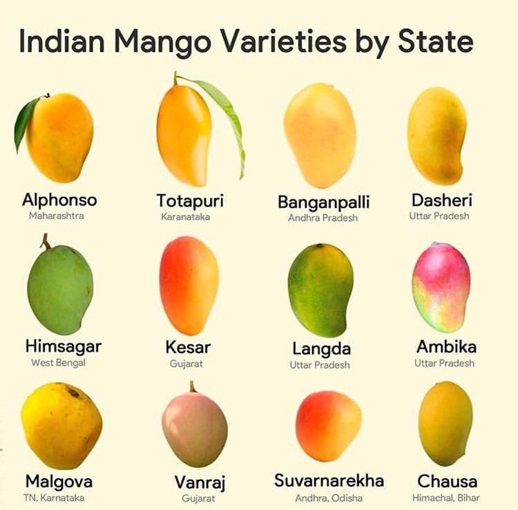 harikondabolu's tweet photo. I would put this glorious poster on my wall. Thanks to @indiainpixels. https://t.co/L0UjF9zGlE