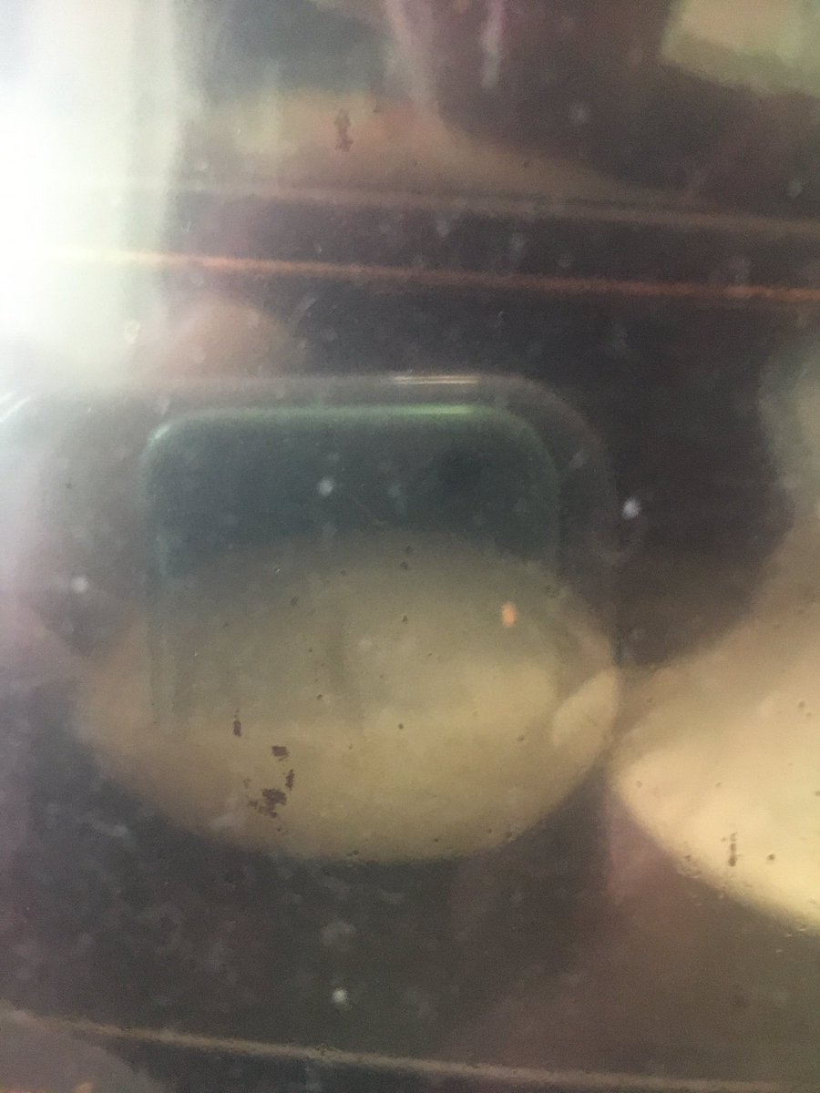 BenJamminMac5's tweet photo. #Khubez #PittaBread #CovidCooking #IsolationInspiration #RiseLikeASalmon https://t.co/S6srORms4v
