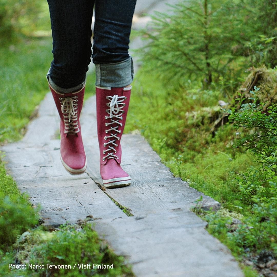 thisisFINLAND's tweet photo. Walking in the nature clears the head, even in worrying times. 💆 And what an experience the awakening spring nature is for the senses! The air is warm, but there’s still winter’s crispness in the wind. There’s a promise of better times in the air. 💚 #Finland https://t.co/7oomyBYPIV