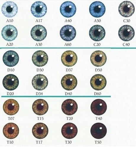 amy_r_arts's tweet photo. Which one are you? I'm a mix of A60/D10 https://t.co/wTYtgLyzdo