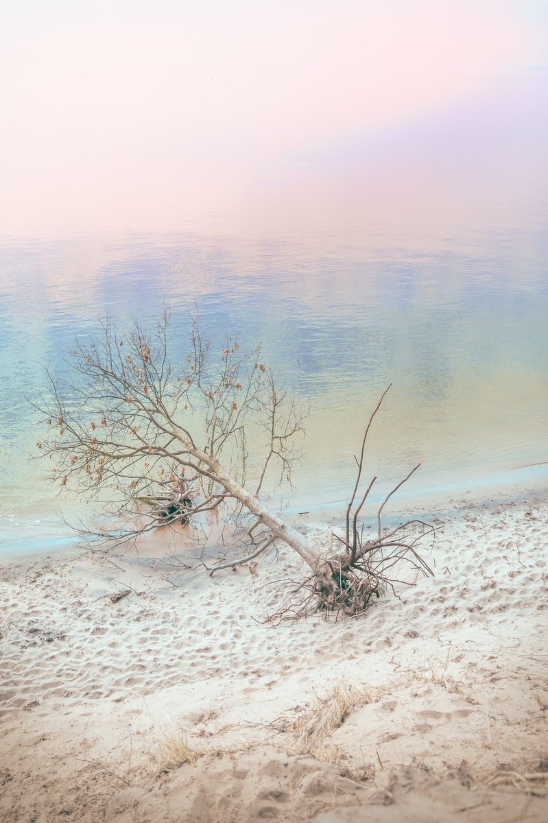 Simp Studios.™ tweet media