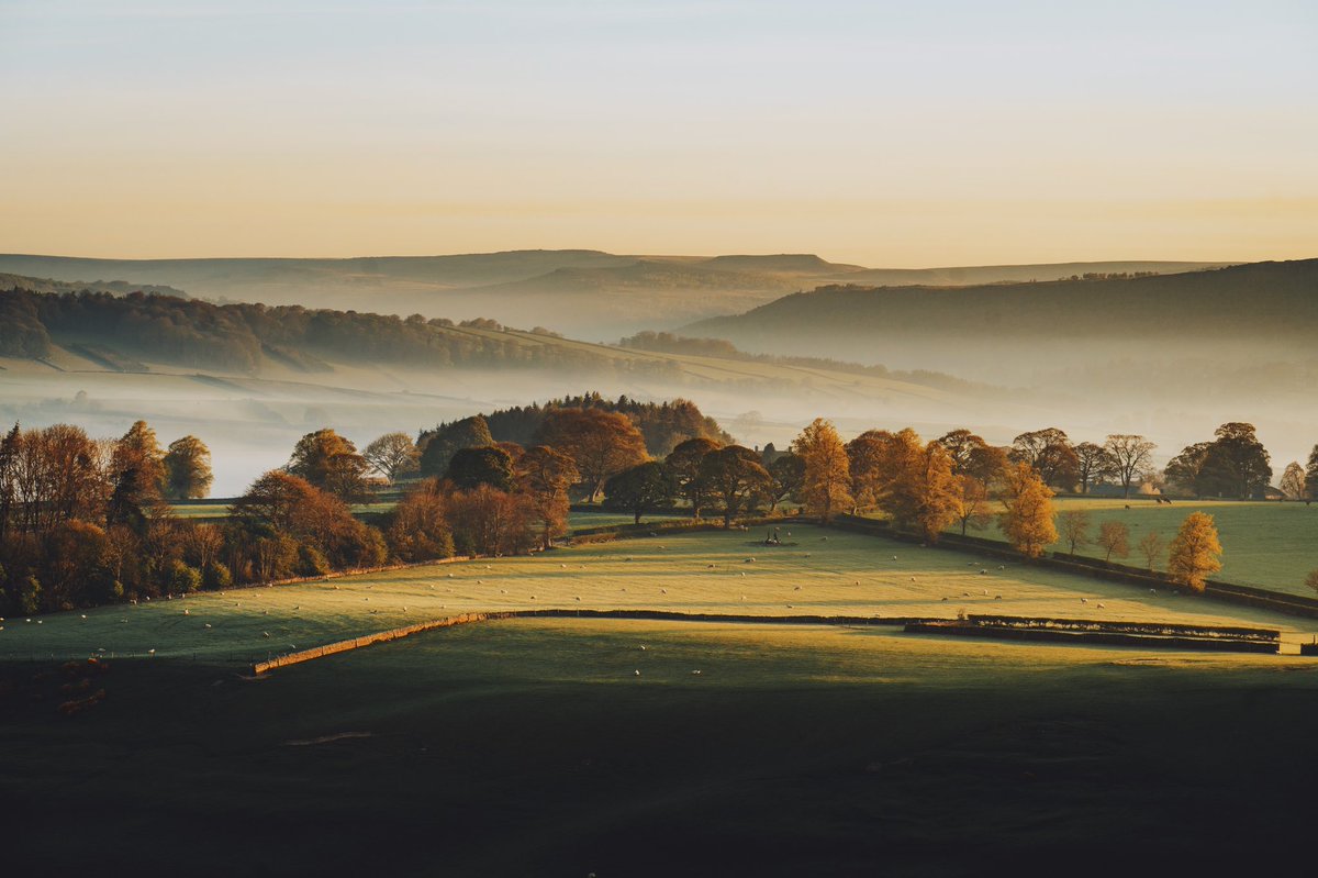 Daniel Casson tweet media